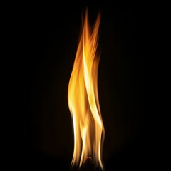 Fototapeta premium Fire flames on a black background. Texture of fire for design.