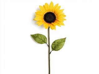 A single yellow sunflower on a white background