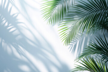 Obraz premium Abstract background with palm shadows on white wall, light and shadow effect for product presentation empty mockup.