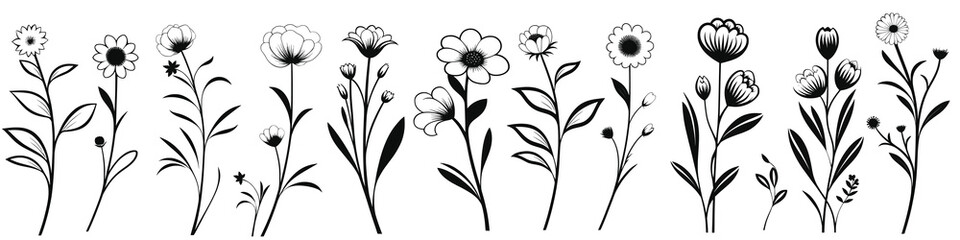 Set of flowering herbs isolated on white background, vector design