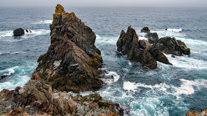 Dungeon Provincial Park UNESCO Geosite.
The coastline and steep cliffs surrounding Cape Bonavista are spectacular examples of the North Atlantic Ocean's wave action and erosive power. Unique shoreline
