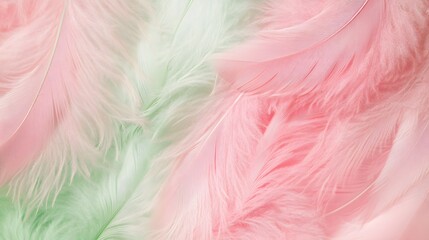 Pink and Green Feathers Background.