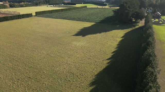 Farming Land Plots In Canterbury New Zealand Afternoon Sun Tracking Left