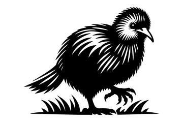 Fototapeta premium kiwi bird silhouette vector illustration isolated on transparent background - Generative AI