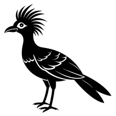 Hoatzin silhouette vector art illustration