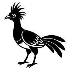 Fototapeta premium Hoatzin silhouette vector art illustration