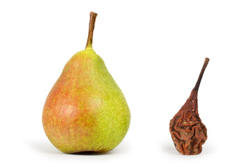 Fresh and rotten pears on a white background. Natural organic fruits.