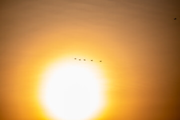 Six F15 fighter jets flying in front of a full sunset in Singapore in preparation of the 2024 Singapore National Day, Singapore's 59th Birthday.
