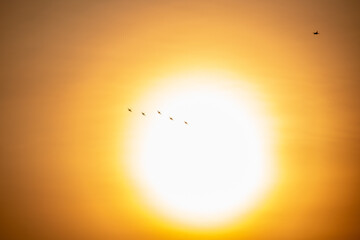 Six F15 fighter jets flying in front of a full sunset in Singapore in preparation of the 2024 Singapore National Day, Singapore's 59th Birthday.