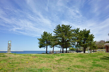 種差海岸