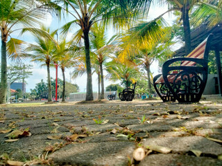 Ground-level perspective of a garden scattered with fallen leaves, featuring palm trees and black metal benches, evoking a serene park atmosphere in gentle morning or afternoon light.