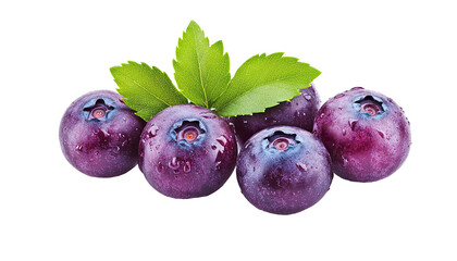 Obraz premium forest berries isolated PNG white background