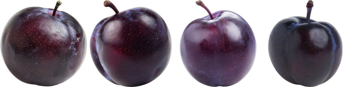 A single plum with a deep purple skin, isolated on a white background