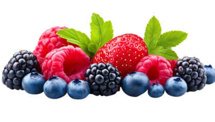 forest berries isolated PNG white background