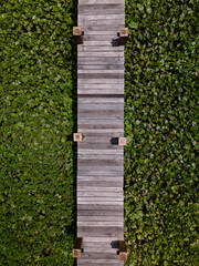 Wooden walkway, bridge or jetty over water hyacinth or water plants from top down aerial view on sunny day