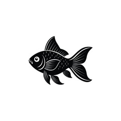 fish illustration