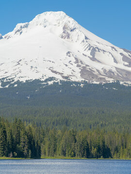 A mountain with snow on it is in the background of a forest