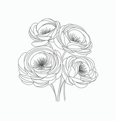 Fototapeta premium Simple hand drawn flowers outline drawing illustration