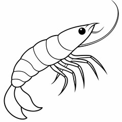 A simple line art drawing of a small prawn art vector illustration