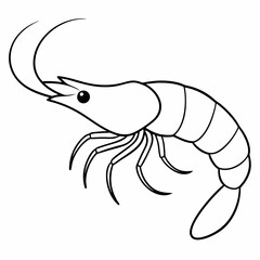 A simple line art drawing of a small prawn art vector illustration