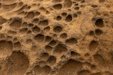 Rocks on the Pacific Ocean in Oregon