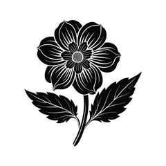 Japanese Anemone Flower Silhouette Vector