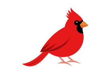 Cardinal bird  art vector