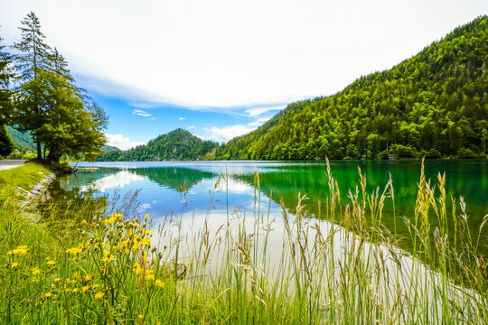 Landscape at Hintersteiner See near Scheffau in Tyrol. Idyllic nature at the mountain lake in the Wilder Kaiser nature reserve in Austria.
