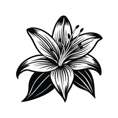 Lily Flower Silhouette Vector