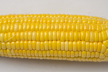 close up of corn