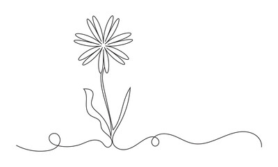 continuous single line drawing of daisy flower, line art vector illustration.  Isolated on white background. EPS 10