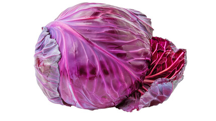 Obraz premium Large red cabbage with vibrant purple leaves is laying on a white surface