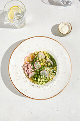 Traditional Okroshka with Kvas and Ham on White Plate