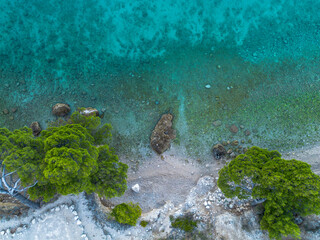 Top view of sea, coast and trees, Adriatic coast of Croatia. Drone view of beach from bird's eye view.
