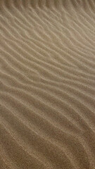 Sand waves. sand background on the baltic beach