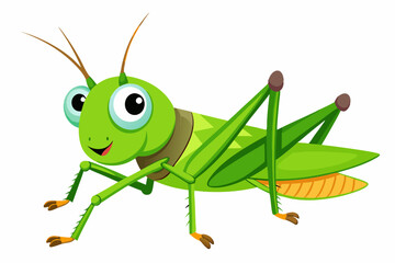 Grasshopper Cartoon cartoon, Vector illustration on a white Background.
