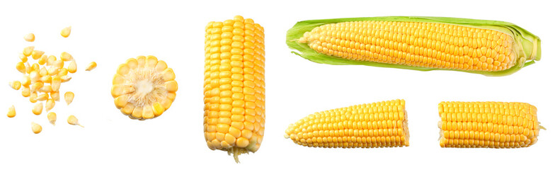 Fresh corn seeds isolated on white background