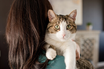 Close up of cat looking at camera with woman holding it