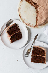 Overhead view of chocolate cake serving