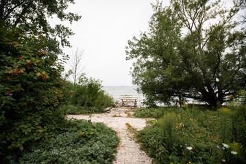 Pathway headed to a lake with a picnic table in the distance