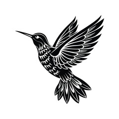 Sa brewing Hummingbird Silhouette Vector