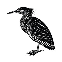 Striated Heron Silhouette Vector Design