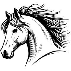 Horse head sketch silhouette