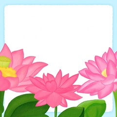 Fototapeta premium lotus blue background