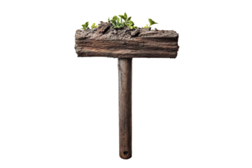 Natural Growth Emerging From A Rustic Wooden Structure In A Creative Arrangement on Transparent PNG Background.