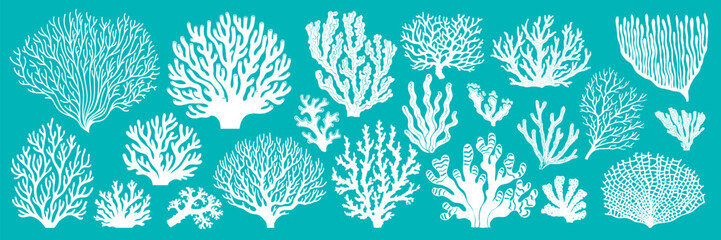 Sea reef corals and ocean seaweeds silhouettes or imprints, vector white icons. Cartoon undersea and ocean underwater fauna plants background with corals and actinia aquatic flowers for marine pattern © Vector Tradition
