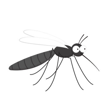 recommend clip art: Mosquito bites. mosquito cartoon. wallpaper. free space for text. copy space.