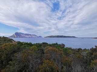 Obraz premium Sardinia vacation