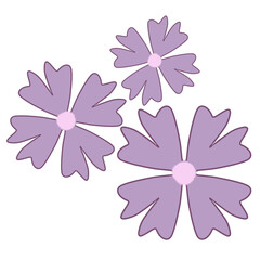 pink flower on white