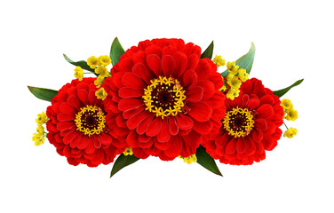 Red zinnia  flowers in a line floral arrangement isolated on white or transparent background